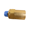 RegO 3/4" NPT Settings to 110 PSIG, Fluorosilicone Seat