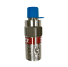 RegO 1/4 NPT, 350 PSI, Stainless Steel ASME Relief, PTFE