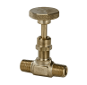 RegO 1/4" Globe MNPT