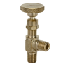 RegO 1/4" Angle MNPT