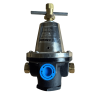 RegO Cryogenic Regulator, 50 - 125 PSIG, 1/4" NPT, No Gauge