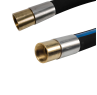 CO2 Liquid/Vapor 450 PSI. 2 in I.D. Polar Hose, Brass, 2 Female NPT E/E." 25 FT