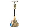 RegO Bronze Globe Valve, 222X Series, 2" Threaded
