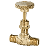 RegO 1/4" Globe FNPT