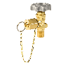 RegO CGA 025, Fuel Gases, With Cap & Chain 1/2" x 7/8" - 14 MLH