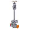 RegO 1" High Purity Butt Weld Globe Valve