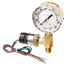 RegO 2.5" Alarm Gauge, For Inertrol Regulators, 0-4000 PSIG