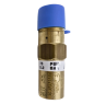 RegO 1/2" NPT Settings to 22 PSIG Valve, Fluorosilicone Seat